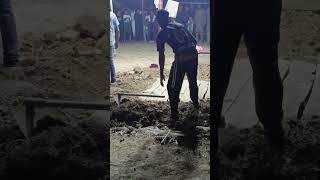 Lahore Circus shorts youtubeshorts circus [upl. by Yenot42]