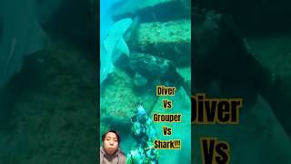 Diver’s Close Call Giant Grouper Steals Fish Shark Approaches SpearFishing Shark [upl. by Neirbo]