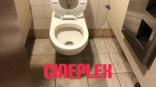 244ca Cineplex Movie Theater Men’s Restroom Full shoot [upl. by Jone773]