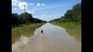 camino de toro pampa Alto Paraguay [upl. by Regen]