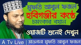 মাওলানা আবুল ফজল হবিগঞ্জীর কন্ঠে সুন্দর ওয়াজ। Mawlana Mufti Abul Fojol Habiganj [upl. by Gladdie]