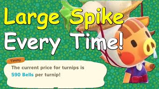 How To Get A Large Turnip Spike Every Week in Animal Crossing New Horizons [upl. by Charlean]