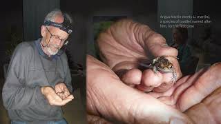 Frogs v killer fungus Winning the battle but losing the war with Prof Angus Martin [upl. by Gladstone]