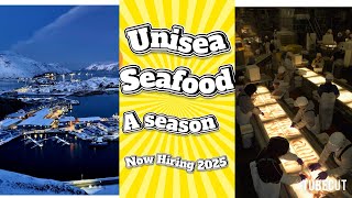 Unisea Seafoods Processing is hiring for the 2025 A season [upl. by Gilud695]