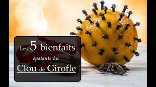 Bienfaits du Clou de Girofle pour la santé [upl. by Olwen]