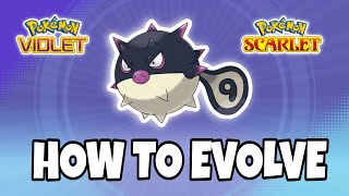 How to Evolve Hisuian Qwilfish  Pokemon Violet and Scarlet [upl. by Tanner]