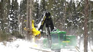 John Deere 903K Feller Buncher in Quetico [upl. by Nede]