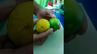 Lemon rasila hai Lemon 🍋 cutting [upl. by Ahseer]