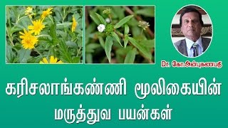 கரிசலாங்கண்ணி மருத்துவ பயன்கள்  Karisalankanni medicinal uses [upl. by Niki]