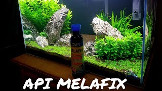 REVIEW API MELAFIX [upl. by Norrahs153]