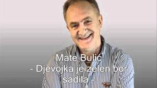 Mate Bulic  Djevojka je zelen bor sadila [upl. by Nnylodnewg]