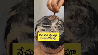 బయో enzyme లేకపోతే ఇలా చేసుకోవచ్చు natural shampoo [upl. by Andeee]