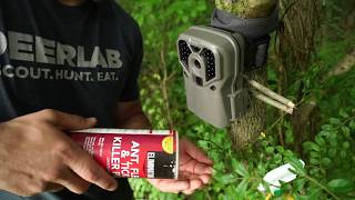 How To Keep Ants Out Of Your Trail Camera amp Summer Longevity Tips [upl. by Eiramit]