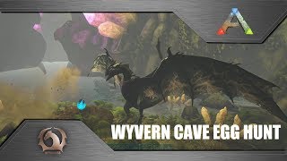 Ark Survival Evolved  Hidden wyvern cave  Wyvern Cave Eggs hunt  Nest locations Ragnarok [upl. by Nadual983]