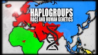 What are Haplogroups Human Genetics Explained [upl. by Forrester]