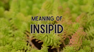 What is the meaning of Insipid [upl. by Guttery416]