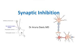 Synaptic Inhibition MBBS PHYSIOLOGY [upl. by Nylear541]