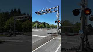 Amtrak Cascades Crosses Big Railroad Crossing shorts train railfan railroadcrossing rail [upl. by Einohpets570]