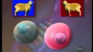 Feb 24 1997 Dolly the Sheep Video ABC News [upl. by Burtie]