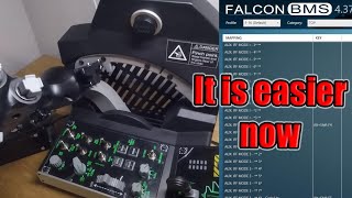 Falcon BMS Tutorial 2024  Setup Controls FAST and EASY [upl. by Nomrac]