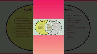 Animal and Plant Cell Similarities and Differncesshortsvideo shorts viralvideoshorts biology [upl. by Nnairam]