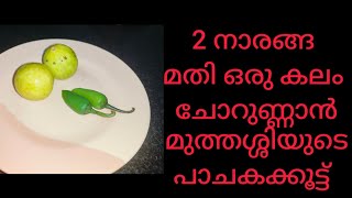 2 നാരങ്ങയും പച്ചമുളകും മതി ഒരു കലം ചോറുണ്ണാൻ  Lemon Ozhichu Curry Malayalam  Cherunaranga Curry [upl. by Alysa]