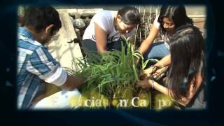 Licenciatura en Agroecología  UADY [upl. by Graeme129]