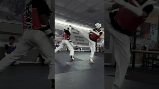 Taekwondo Sparring shorts [upl. by Jareen538]