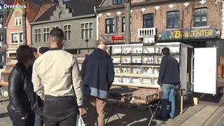 GROOTSTE DIERENMARKT VAN BELGIË  IEDERE ZONDAG IN MOL [upl. by Hanna683]