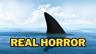 The Real Megalodon Story Giant Shark [upl. by Wexler943]