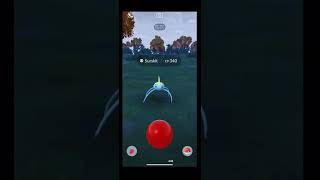 ✨Double shiny Surskit during spotlight hour in Pokemon Go✨ pokemon pokemongo youtubeshorts fyp [upl. by Alaecim]