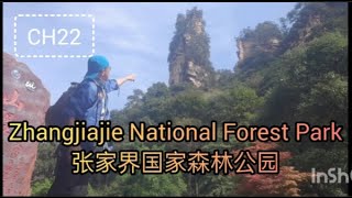 CH22 Zhangjiajie Forest Park Scenic Area South Gate 张家界森林公园南门景区 [upl. by Retsub]