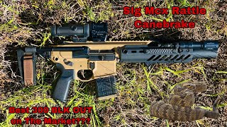 Sig Saurer Mcx Rattler Canebrake  Overview  My Setup First Person POV [upl. by Dareece665]