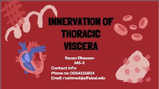 Innervation of Thoracic Viscera  Razan Elhassan  CVP 112 [upl. by Harden]