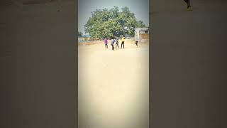 cricket batman shortsvideo viralvideo [upl. by Anawed]