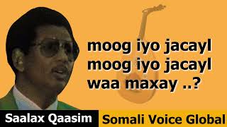 Saalax Qaasim  Moog iyo Jacayl  Official Lyrics 2022 SomaliVoiceGlobal [upl. by Evangelia957]