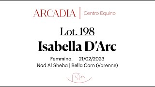 ASTE ITS 2024  Lot 198  Isabella DArc [upl. by Leiva630]