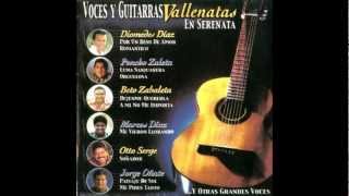 Beto Zabaleta  03 Déjenme Quererla Voces y Guitarras Vallenatas Vol 1 [upl. by Townshend]