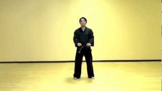 Chon Ji  Tae Kwon Do Pattern [upl. by Maddocks]