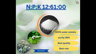 NPK 12 61 00  100 water solubel fertilizer  1261 fertilizer [upl. by Bearnard]