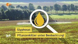 Glyphosat  Pflanzenkiller unter Beobachtung  heuteplus  ZDF [upl. by Rubia634]