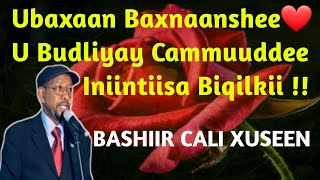 bashiir cali xuseen ubax  bashiir cali xuseen hees  xasuustii bashiir cali xuseen  hees ubax [upl. by Yelnahs]