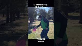 Disc Golf at Mile Marker 63 Hole 1 discgolf dog [upl. by Jaquiss]