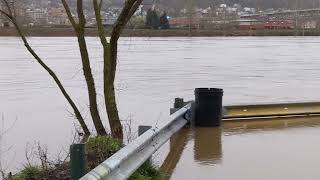 Monongahela River flood at Duck Hollow 20240404 0722 [upl. by Meesaw]