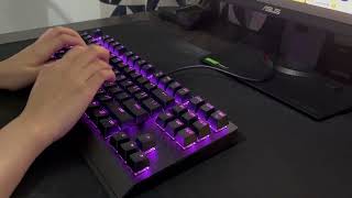 Razer Blackwidow V3 TKL Yellow Switch Stock Sound Test [upl. by Gorrono93]