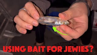 We Try Fishing Bait For Jewfish At Night  Shoalhaven River  Part 2 [upl. by Haziza644]