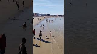 Weymouth beach 28th July 430pm weymouth dorset beach sea swimming dog summer sun holiday [upl. by Anirbac332]