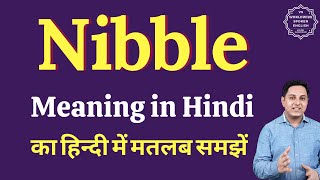 Nibble meaning in Hindi  Nibble ka kya matlab hota hai  Spoken English Class [upl. by Showker470]