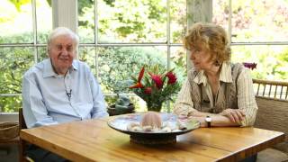 Marriage Lines starring Prunella Scales and Richard Briers [upl. by Liane]