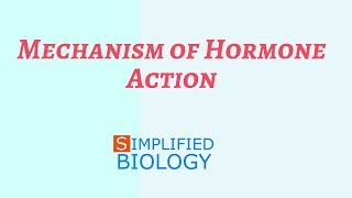 Mechanism of Hormone Action for NEET AIIMS AIPMT MCAT PREMED JIPMER [upl. by Short475]